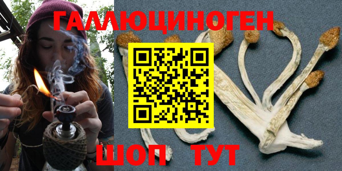 Псилоцибиновые грибы мицелий  Псилоцибиновые грибы GOLDEN TEACHER  Вход с VPN  Орехово-Зуево 